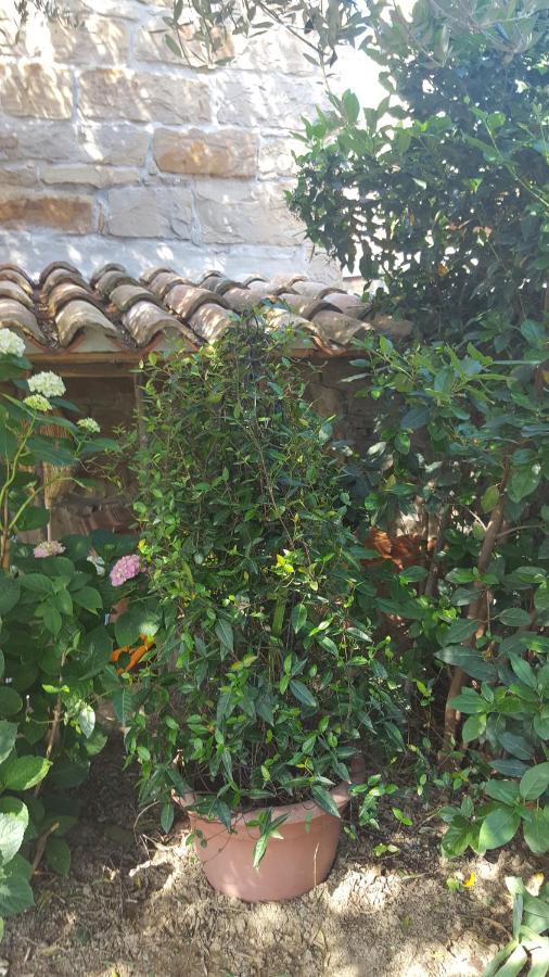 Istrian Stone House Villa Sečovlje Eksteriør billede