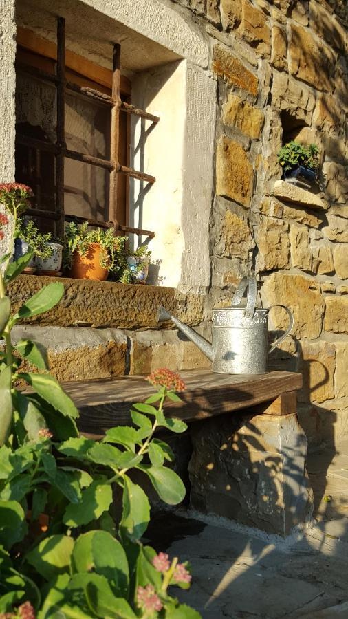 Istrian Stone House Villa Sečovlje Eksteriør billede