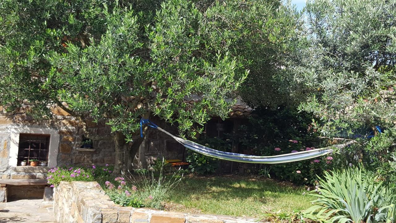 Istrian Stone House Villa Sečovlje Eksteriør billede
