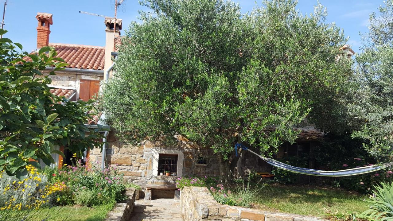 Istrian Stone House Villa Sečovlje Eksteriør billede