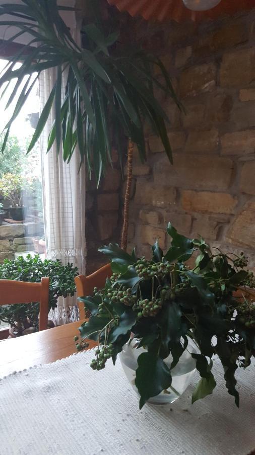 Istrian Stone House Villa Sečovlje Eksteriør billede